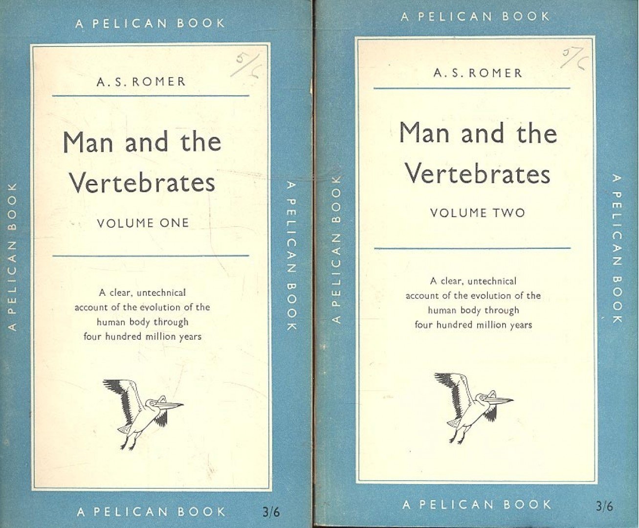 ROMER, A. S. - Man and the Vertebrates vol. 1 - 2 [antikvár]