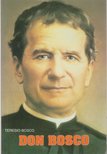 Bosco, Teresio - Don Bosco [antikvár]