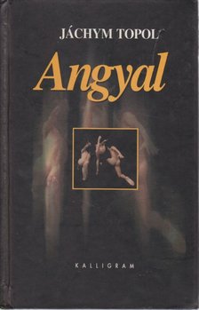 Angyal [antikvár]