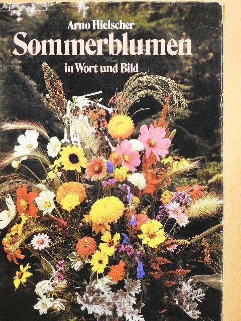 Arno Hielscher - Sommerblumen in Wort und Bild [antikvár]