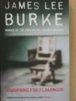 James Lee Burke - A morning for Flamingos [antikvár]