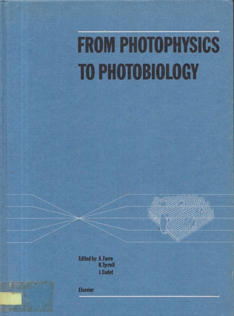A. Favre, R. Tyrrel, J. Cadet - From Photophysics To Photobiology [antikvár]