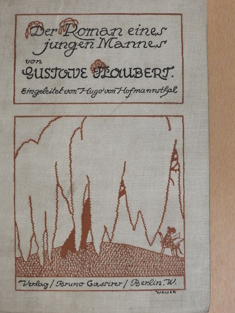 Gustave Flaubert - Der Roman eines jungen Mannes (gótbetűs) [antikvár]