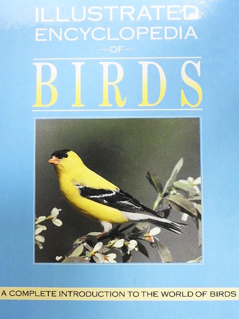 Illustrated Encyclopedia of Birds [antikvár]