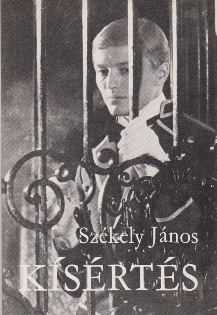 SZÉKELY JÁNOS - Kísértés [antikvár]