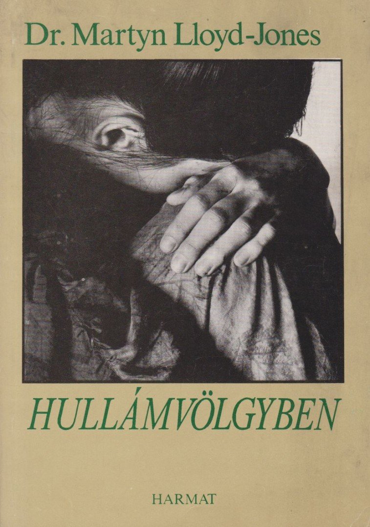 Jones-Lloyd Martyn dr. - Hullámvölgyben [antikvár]