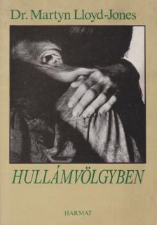 Jones-Lloyd Martyn dr. - Hullámvölgyben [antikvár]