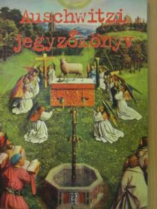 Auschwitzi jegyzőkönyv [antikvár]