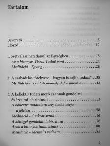 Vörös Mária Nyemirovszkaja - A megbetegítő mátrix - CD-vel [antikvár]