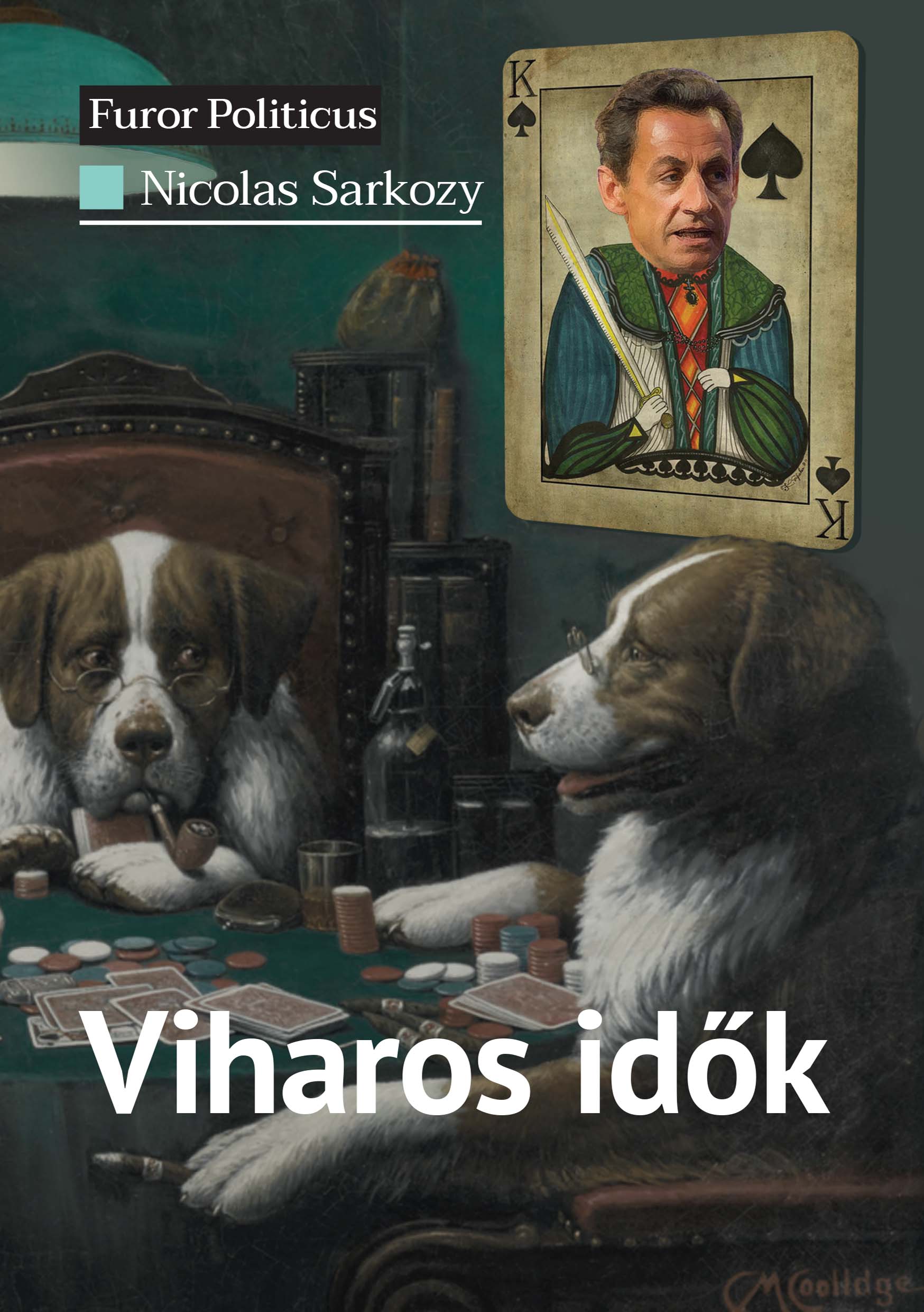 Nicolas Sarkozy - Viharos idők