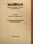 Bibó István - Településszociológia [antikvár]