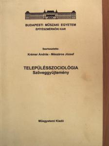 Bibó István - Településszociológia [antikvár]