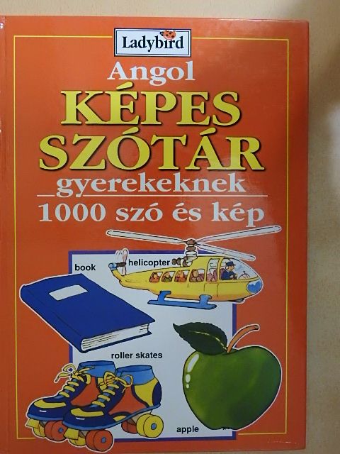 Richard Powell - Angol képes szótár gyerekeknek [antikvár]