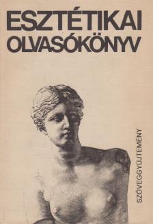 Kis Tamás - Esztétikai olvasókönyv [antikvár]