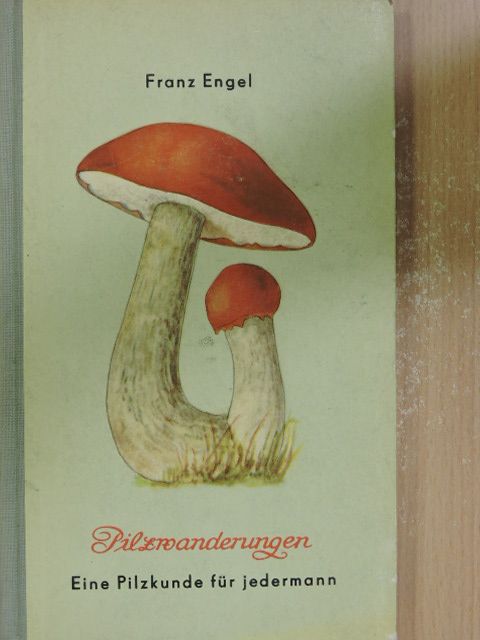 Franz Engel - Pilzwanderungen [antikvár]