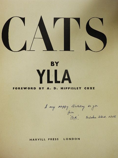 Ylla - Cats [antikvár]