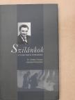 Dr. Szabó Ferenc - Szilánkok a Dunai Vasmű történetéből [antikvár]