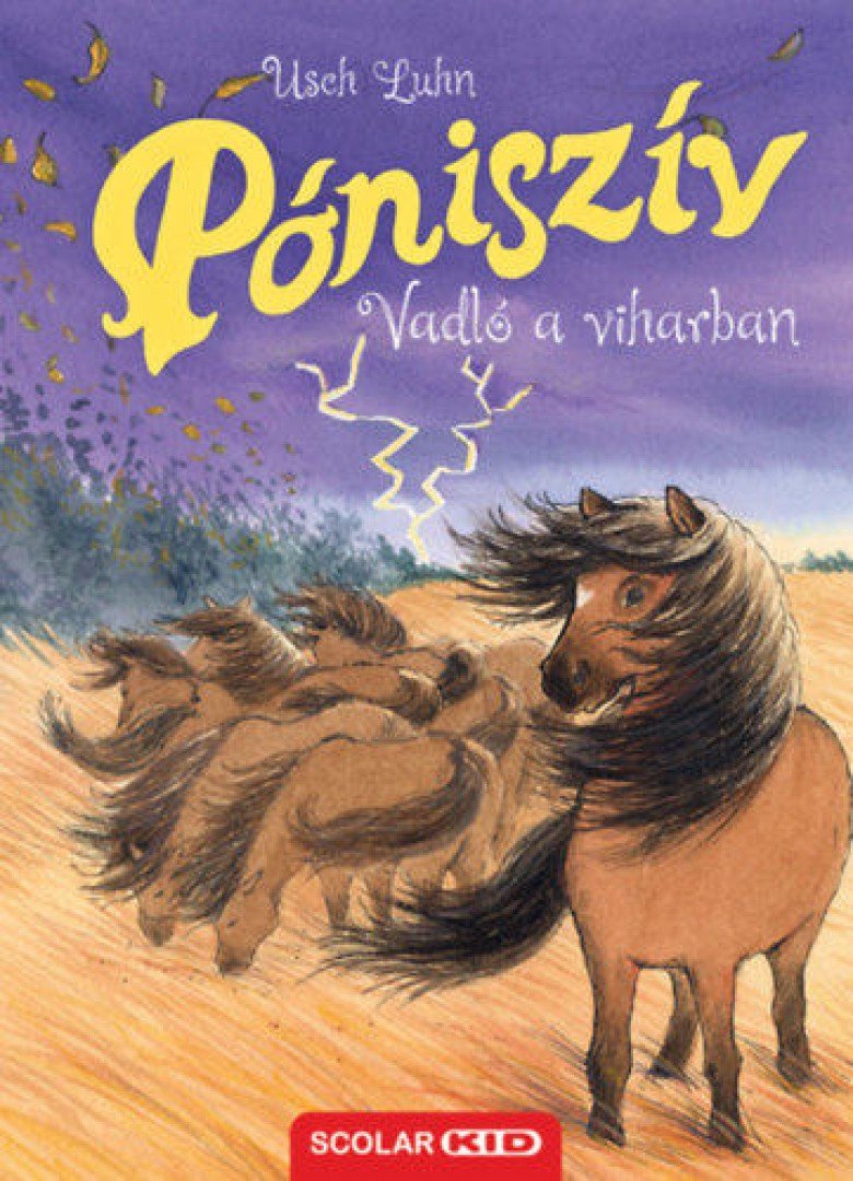 Usch Luhn - Póniszív - Vadló a viharban [antikvár]