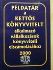 Pásztói István - Példatár a kettős könyvvitelt alkalmazó vállalkozások könyvviteli elszámolásához 2000 [antikvár]