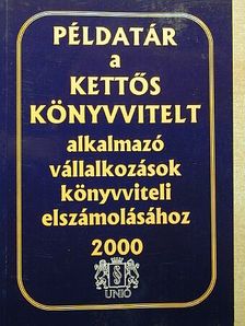 Pásztói István - Példatár a kettős könyvvitelt alkalmazó vállalkozások könyvviteli elszámolásához 2000 [antikvár]
