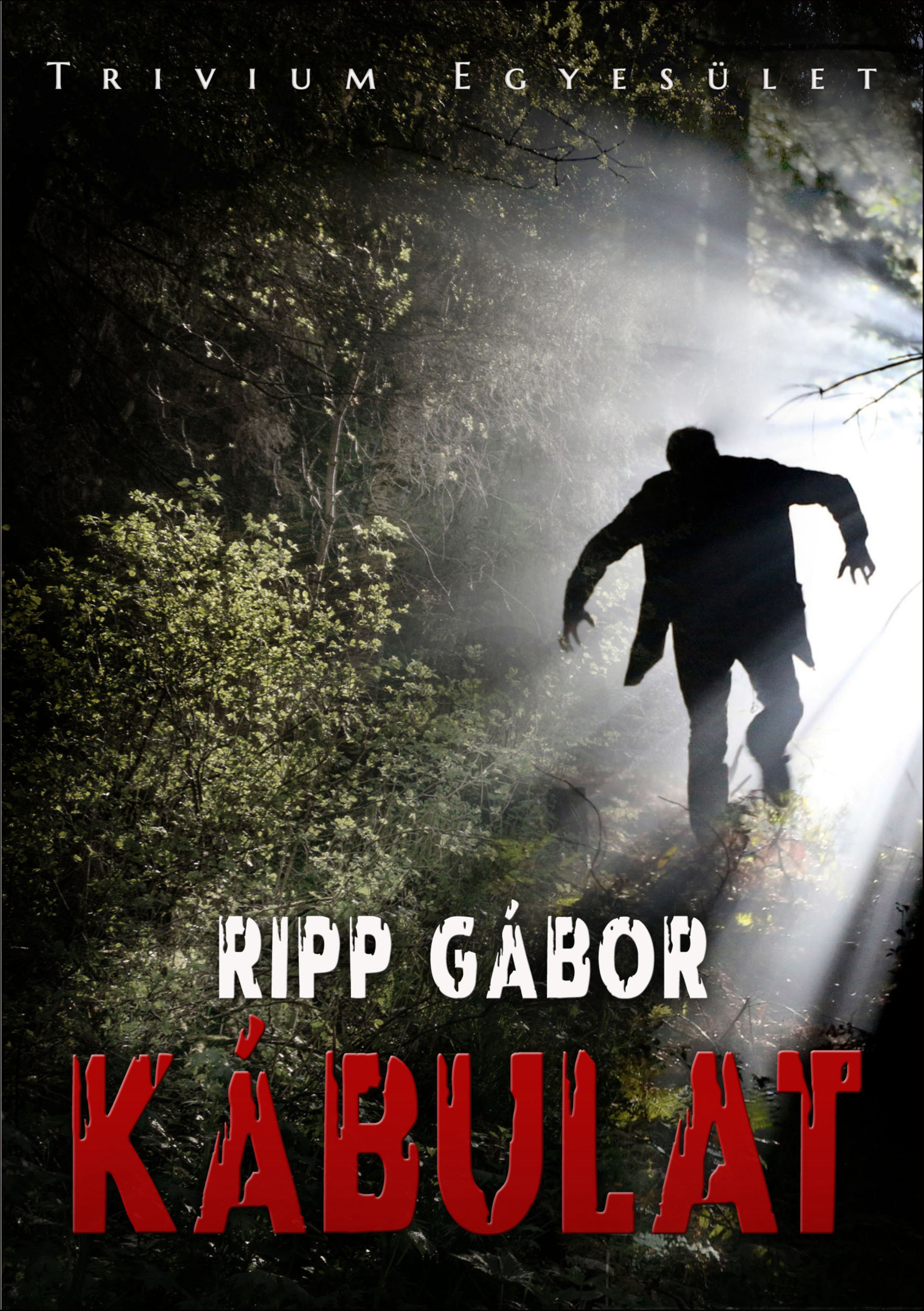 Gábor Ripp - Kábulat [eKönyv: epub, mobi]