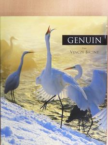 Vincze Bálint - Genuin [antikvár]