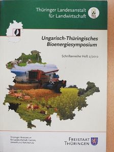 Detlef Riesel - Ungarisch-Thüringisches Bioenergiesymposium [antikvár]