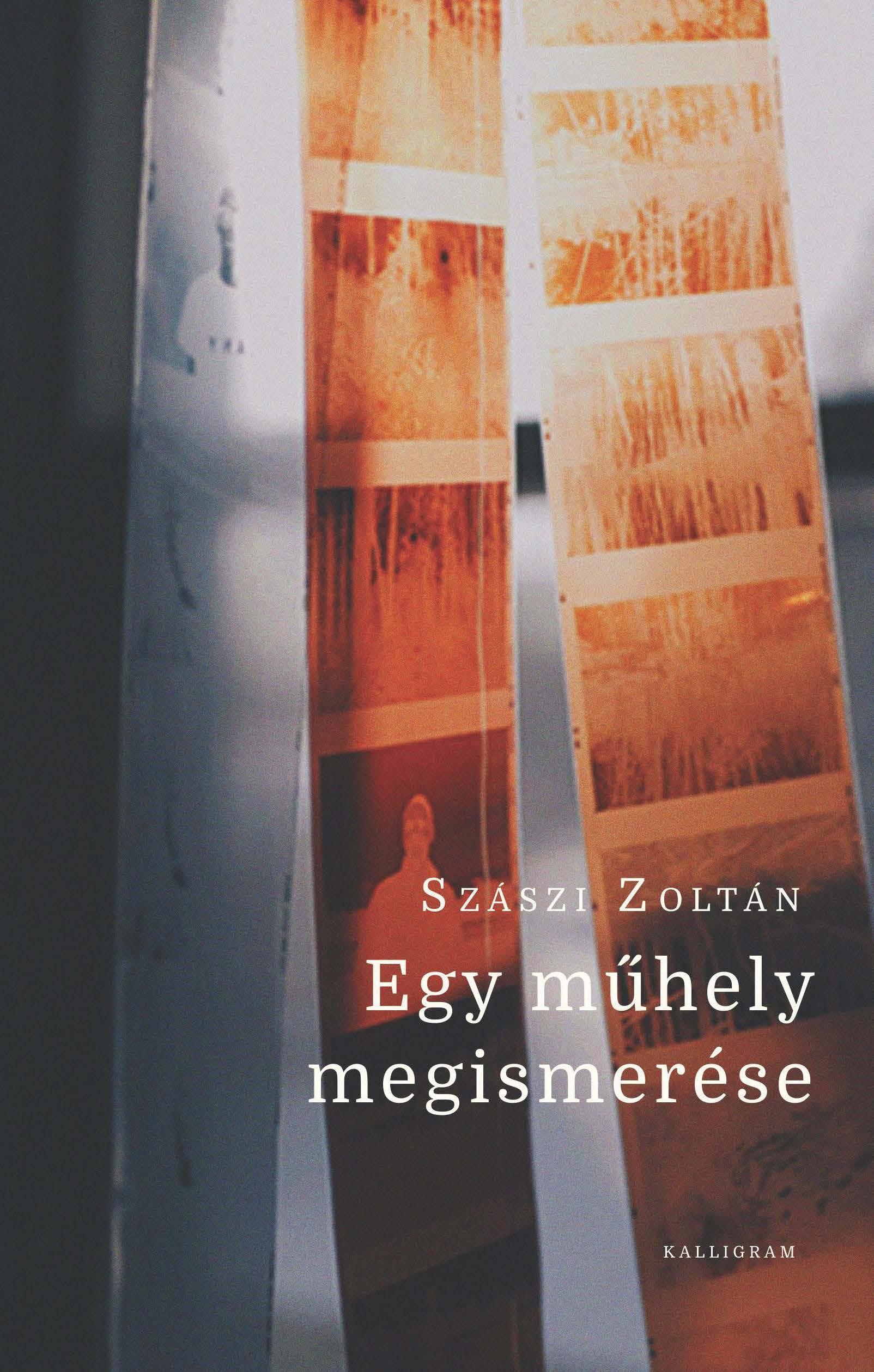 Szászi Zoltán - Egy műhely megismerése