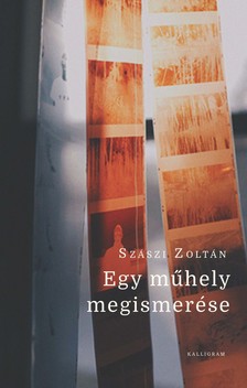 Szászi Zoltán - Egy műhely megismerése