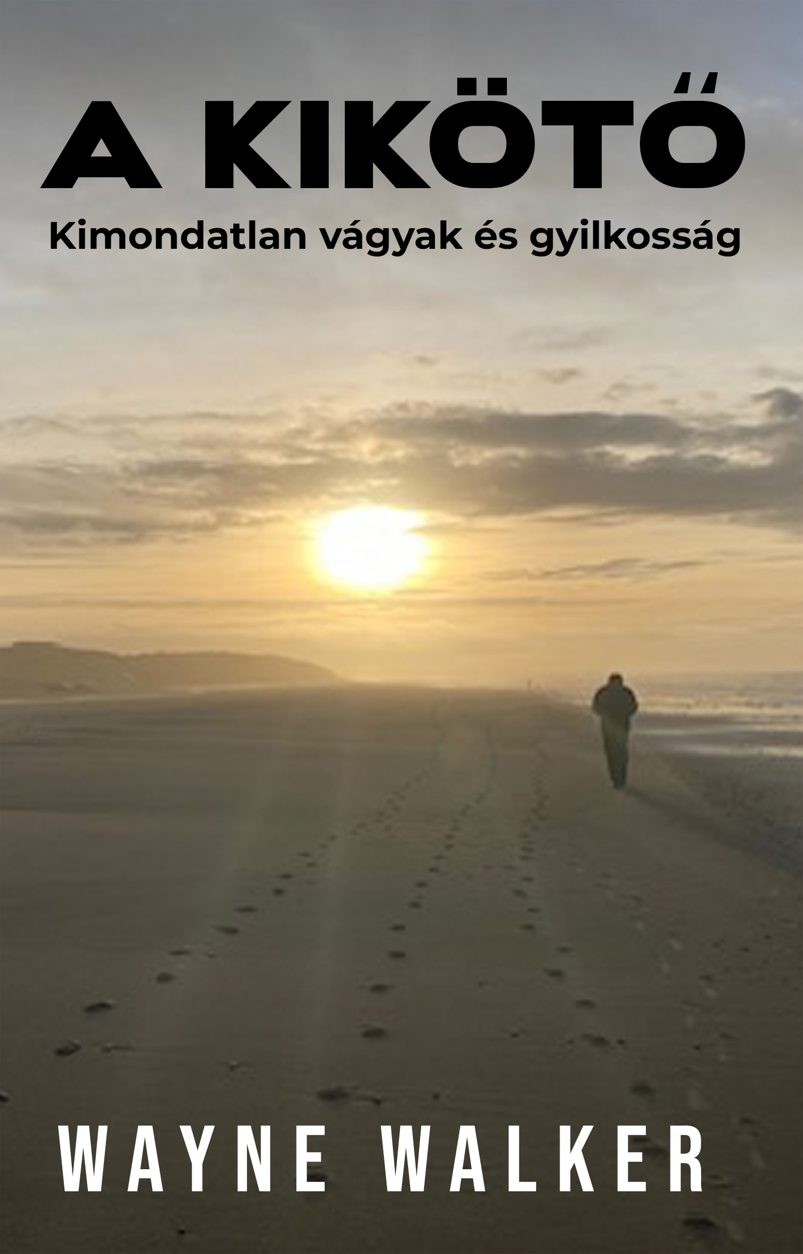 Walker Wayne - A kikötő [eKönyv: epub, mobi]
