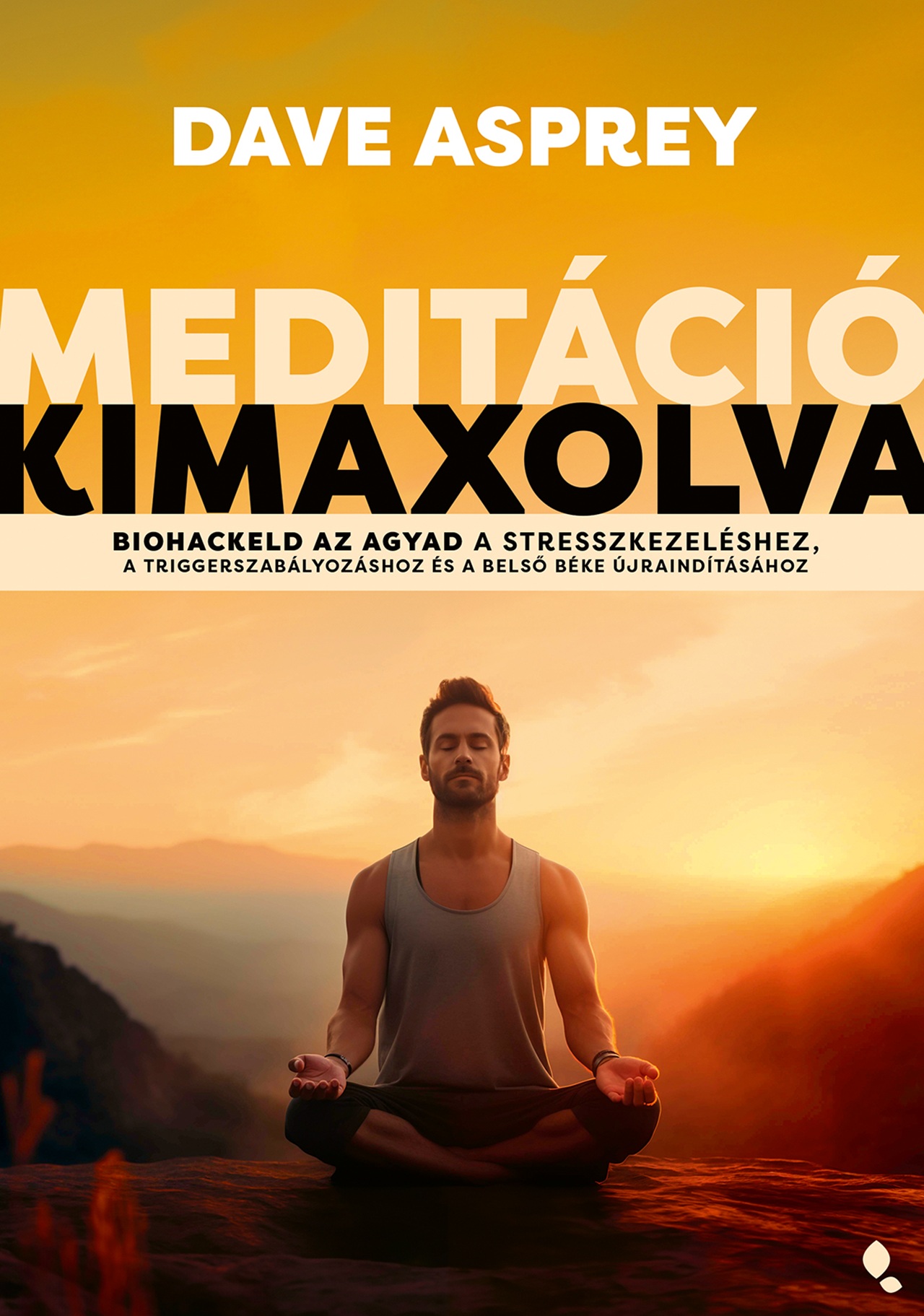 Aspray, Dave - Meditáció kimaxolva