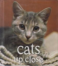 Vicki Croke - Cats up close [antikvár]