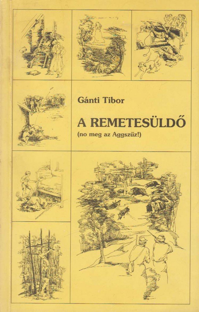 Gánti Tibor - A remetesüldő [antikvár]