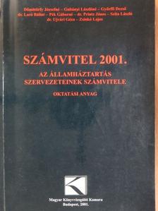 Dömötörfy Józsefné - Számvitel 2001. [antikvár]