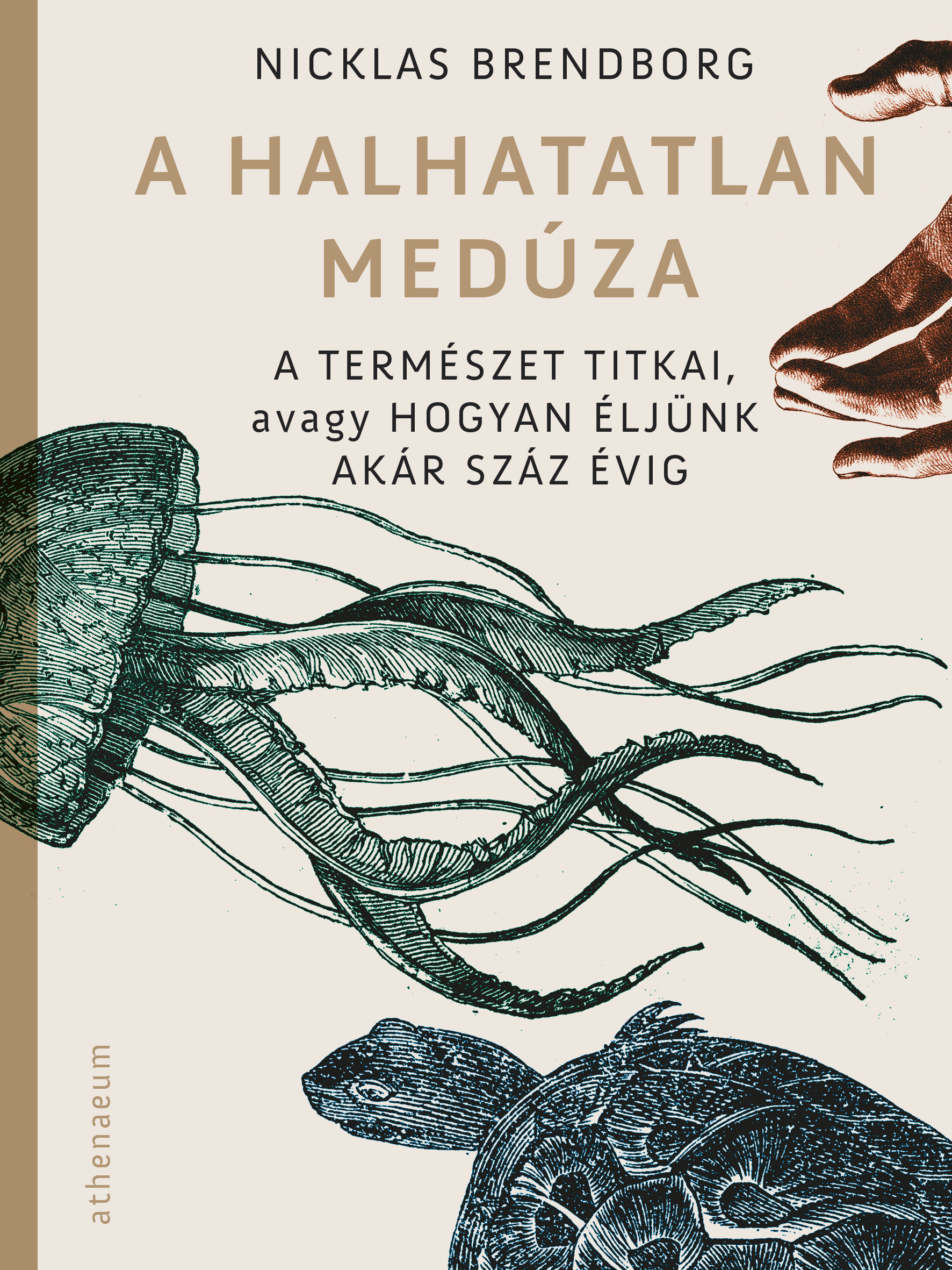 Nicklas Brendborg - A halhatatlan medúza [eKönyv: epub, mobi]