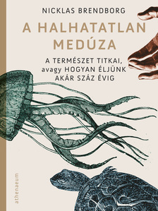 Nicklas Brendborg - A halhatatlan medúza [eKönyv: epub, mobi]