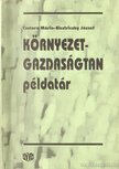 Bisztriczky József, Csutora Mária - Környezetgazdaságtan példatár [antikvár]
