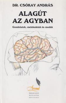 Dr. Csókay András - Alagút az agyban [antikvár]