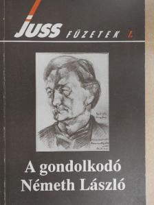 Bíró Zoltán - A gondolkodó Németh László [antikvár]