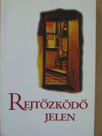 Borbély Sjoukje - Rejtőzködő jelen [antikvár]