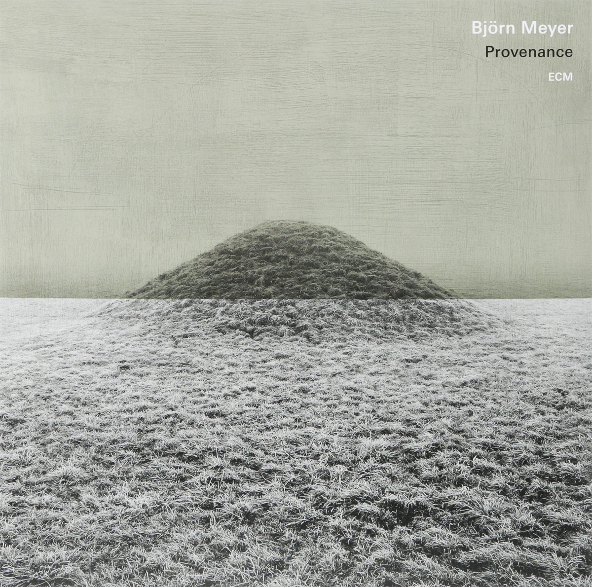 BJÖRN MEYER - PROVENANCE LP BJÖRN MEYER