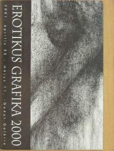 D. Udvary Ildikó - Erotikus grafika 2000 [antikvár]