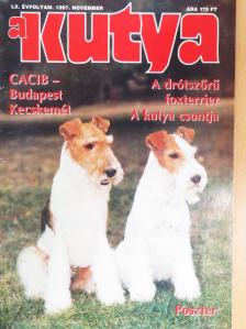 Eifert Anna - A Kutya 1997. november [antikvár]