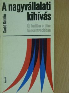 Szabó Katalin - A nagyvállalati kihívás [antikvár]