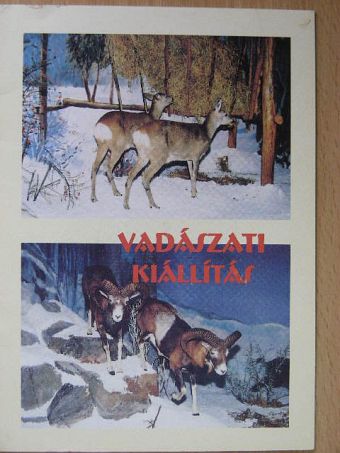 Dr. Pálosné Nagy Rózsa - Vadászati kiállítás [antikvár]