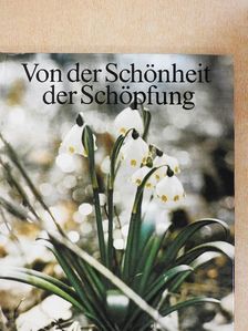 Von der Schönheit der Schöpfung [antikvár]