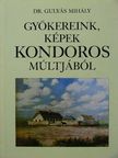 Dr. Gulyás Mihály - Gyökereink, képek Kondoros múltjából [antikvár]