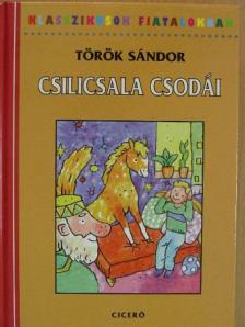 Török Sándor - Csilicsala csodái [antikvár]