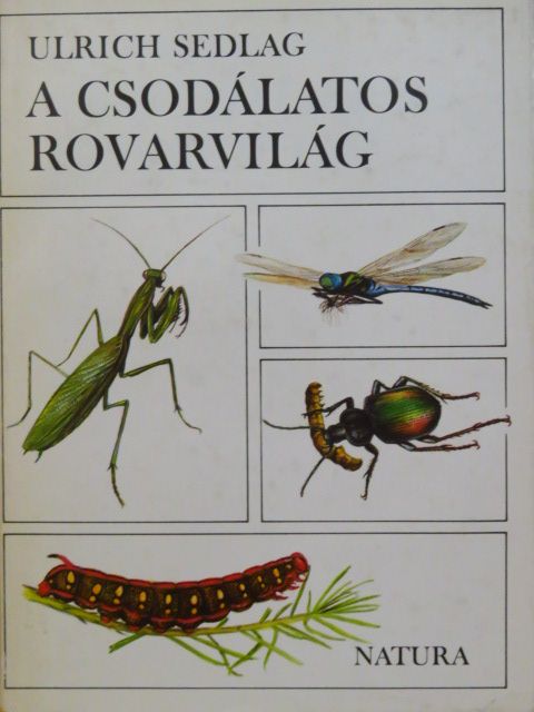 Dr. Steinmann Henrik - A csodálatos rovarvilág [antikvár]