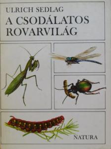Dr. Steinmann Henrik - A csodálatos rovarvilág [antikvár]